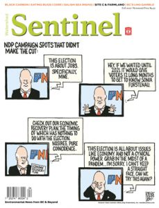 流域Sentinel 10月11日2020封面