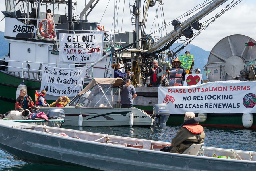 抗议布伦特岛鱼类农场